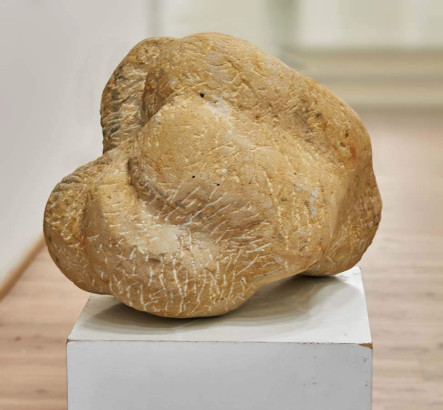 Liz Mields-Kratochwil