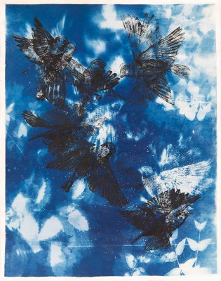 Strahinja Skoko, o.T., 2024 <br /> Cyanotypie, 47,5 x 62,5 cm <br /><strong> Startpreis 450 € </strong><br /><strong>–VERKAUFT–</strong>