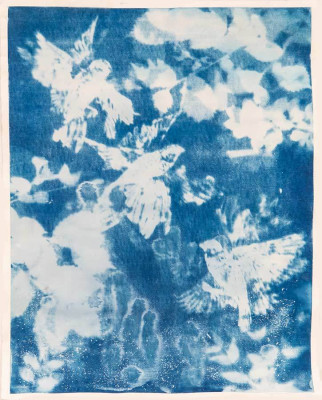 Strahinja Skoko, o.T., 2024 <br /> Cyanotypie, Linoldruck, 47,5 x 62,5 cm <br /><strong> Startpreis 450 € </strong>