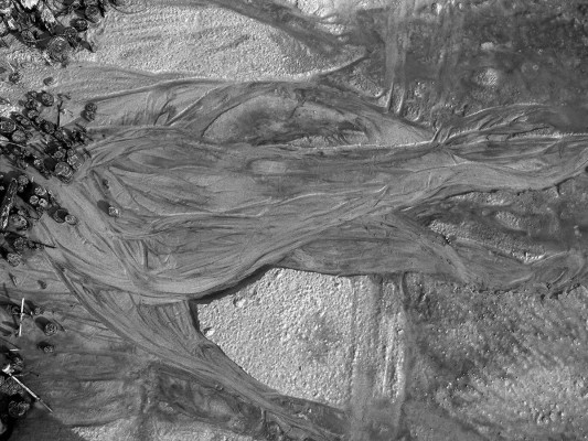 Simone Tippach-Schneider, Skagen, Urformen I, 2024 <br /> Foto-Abzug Ilford S/W Papier, 30 x 40 cm <br /><strong> Startpreis 180 € </strong><br /> Rahmen optional 70 €