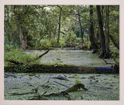 Bernd Petrikat, Altfriedland, 2018 <br /> Foto-Abzug ultraHD Fuji Crystal Professional, 50 x 60 cm <br /><strong>Startpreis 140 € </strong><br /> Rahmen optional 65 €