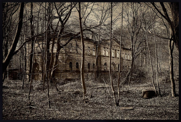 Bernd Petrikat, Dwasieden Rügen, 2021<br /> Foto, Print auf Barytpapier, 40 x 60 cm<br /><strong>Startpreis 140 € </strong> optional Halberahmen mit Museumsglas 100 €