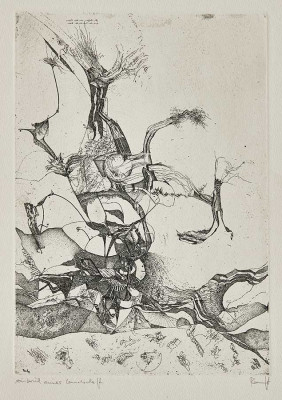Thomas Ranft, Ausbruch einer Landschaft <br />Radierung, 29 x 20 cm<br /><strong>Startpreis 90,00 € </strong><br /><span style="color:#FF0000;"><strong> verkauft</strong></span>