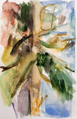 Denise Richardt, Fichte, 2021 <br /> Aquarell, 24 x 16 cm, Rahmen optional 30 € <br /> <strong> Startpreis 230 € </strong>