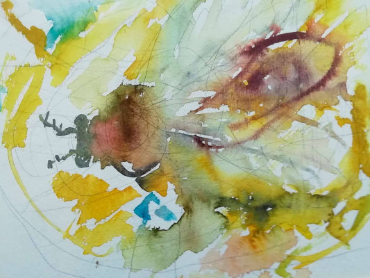 Heinrich Bethke, Insekt 2, o.J. <br /> Aquarell, 30 x 40 cm<br /> <strong> Startpreis 250 € </strong><br /><span style="color:#FF0000;"><strong> verkauft</strong></span>