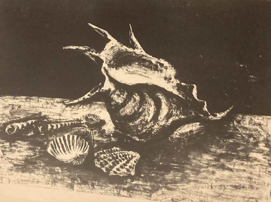 Manfred Böttcher, Große Muschel , signiert, 1957 <br /> Lithographie, Auflage II, 49 x 63 cm <br /> <strong>Startpreis 350 € </strong><br />