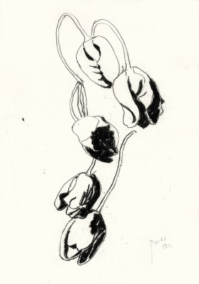 Joachim Bayer, Tulpen, 2022 <br /> Kohle auf Papier, 29,5 x 21 cm, Rahmen optional 10 € <br /><strong> Startpreis 220 € </strong>