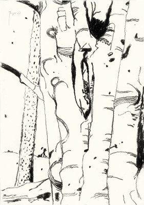 Joachim Bayer, Baumgruppe, 2022 <br /> Kohle auf Papier, 29,5 x 21 cm, Rahmen optional 10 € <br /><strong> Startpreis 220 € </strong>