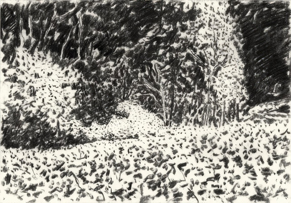 Joachim Bayer, Bei Lanke, 2022 <br /> Kohle auf Papier, 21 x 29,5 cm, Rahmen optional 10 € <br /><strong> Startpreis 220 € </strong>