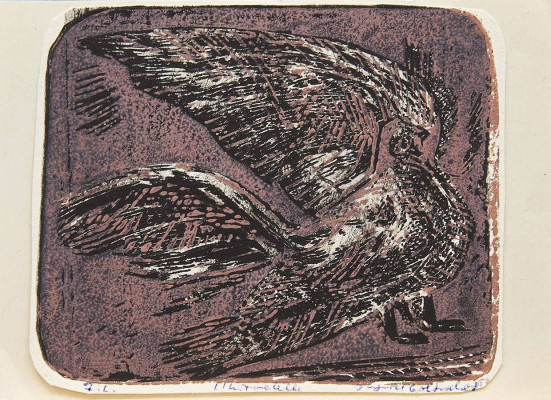 Ingrid Goltzsche, Taube, o.J. <br /> Farbholzschnitt, 10 x 12 cm, Rahmen optional <br /> <strong> Startpreis 50 € </strong><br /><span style="color:#FF0000;"><strong> verkauft</strong></span>