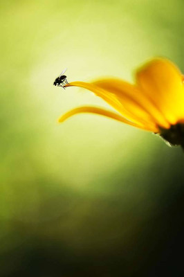 Uz Kirchhoff, Vom Leben hinter der Bühne, 2012 <br /> 30 x 45 cm <br /> <strong> Startpreis 60 € </strong>