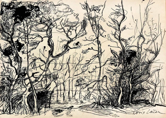 Doris Leue, Gehölz, 2020 <br /> Feder / Tusche, 29,8 x 42 cm, Rahmen optional 35 € <br /> <strong>Startpreis 400 € </strong><br />