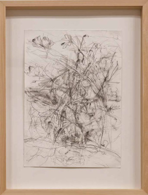 Susanne Pliet, Fensterbild, 2025 <br /> Bleistift, Papier, 30 x 21 cm, Rahmen optional 35 € <br /><strong> Startpreis 175 € </strong><br /><strong>VERKAUFT</strong>