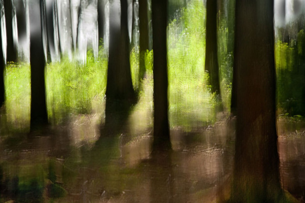 Uz Kirchhoff, Tobend Lachend, 2012 <br /> gestische Fotografie, 45 x 30 cm, <br /><strong> Startpreis 100 € </strong> <br /><strong>VERKAUFT</strong>