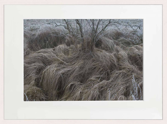 Bernd Petrikat, Buchholzer Graben, 2020<br />Fotografie, Print auf Hahnemühle Papier pearl, Rahmen 60 x 80 cm m. entspiegeltem Acyrlglas u. Passepartout optional 100 € <br /><strong>Startpreis 150 € </strong><br />