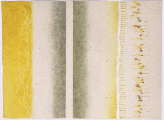 o.T. (aus der Serie »biomorph«), 2006<br/>
Safran, Algen, Staubgefäße auf Filzplatte, 51 x 69 cm