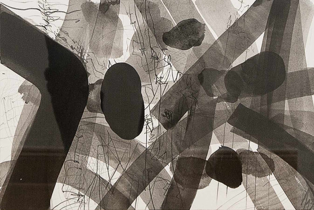 o.T. aus der Serie »Trauerweide und Schwalbenflug«, 2013<br/>
Graphit, Tusche auf Karton, 26 x 39 cm