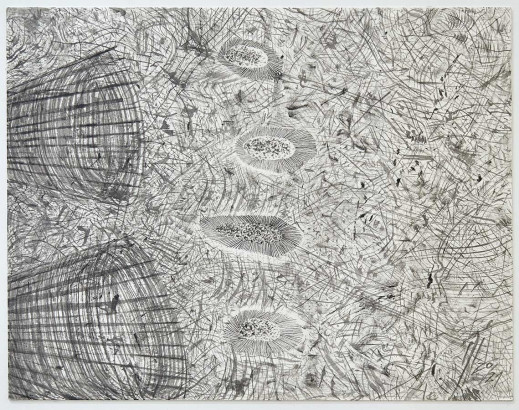 Dorothee Helena Jacobs