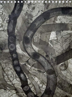 Dorothee Helena Jacobs