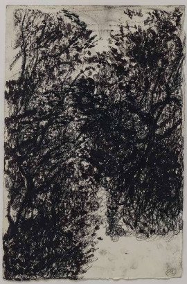 Micha Reich